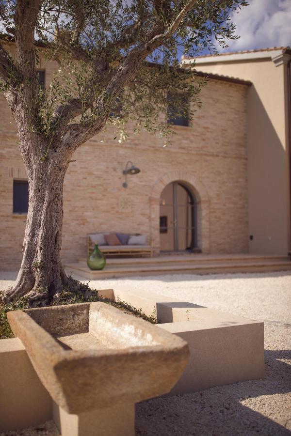 Casale Tre Gelsi Bed and Breakfast Cingoli Exteriör bild