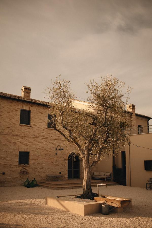 Casale Tre Gelsi Bed and Breakfast Cingoli Exteriör bild